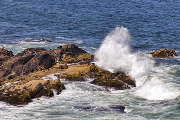 Wave Crashing on Rocky Coast of Maine