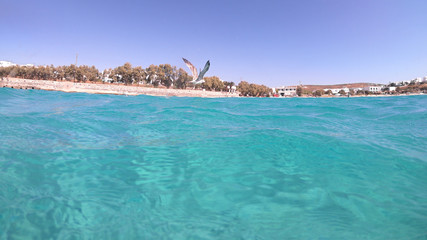 Fototapeta premium Above and below underwater photo of turquoise clear sea of Ammos sandy beach near port of Koufonisi island, Small Cyclades, Greece