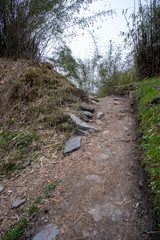 Trail on the Annapurna Base Camp Trek in tropical Rain forest Nepal.