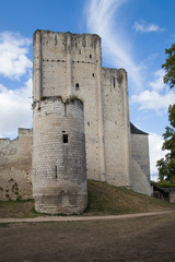 Fototapeta na wymiar Tour et donjon du château de Loches