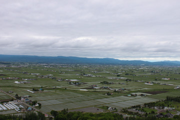 Fototapeta na wymiar Japan landscape of rice fields and mountains