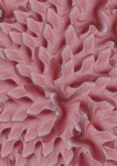 Banana LEAVES texture design for home wall and clothes