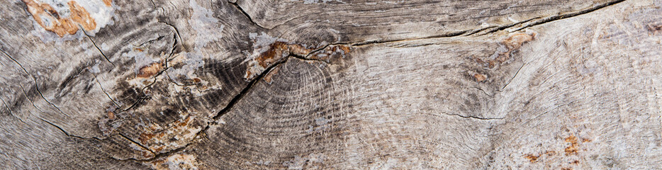 old brown wood surface texture