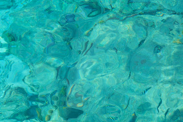 Tropical sea water texture with fish below the surface