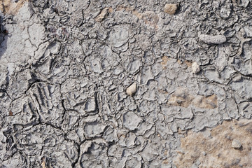 Dry ground soil texture grey