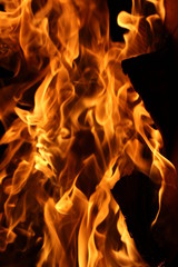 fire on black background