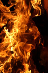 fire in the fireplace