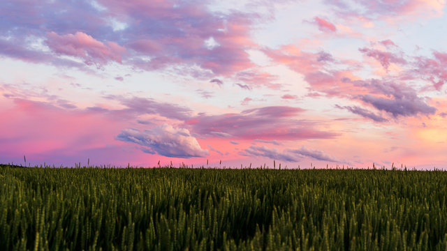 Weizenfeld bei Sonnenuntergang &ndash; Dramatische Wolken und frohe frohe farbenen Himmel &uuml;ber gr&uuml;ne Landschaft