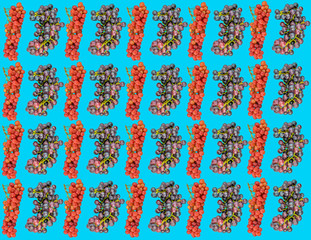 rote blaues Trauben Composing auf Hellblauen Hintergrund