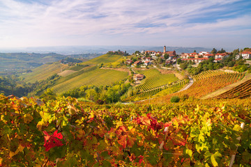 Treiso, Langhe, Piemonte, Italia