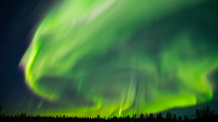 Aurora Borealis (Northern lights)