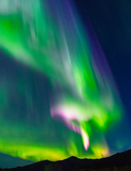 Obraz na płótnie Canvas Aurora Borealis (Northern lights)
