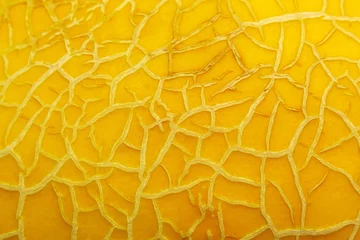 Abwaschbare Fototapete Makrofotografie Melone Textur Hintergrund Nahaufnahme Makro