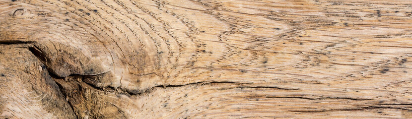 old brown wood surface texture