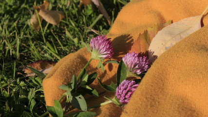 beautiful flowers lie on a scarf