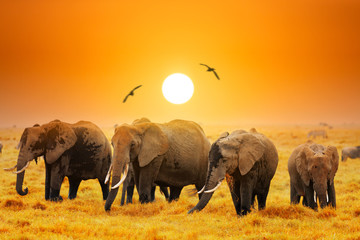 Artistic fantastic african sunset landscape. African elephants in Amboseli National Park. Kenya,...