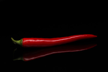 Chili pepper 03