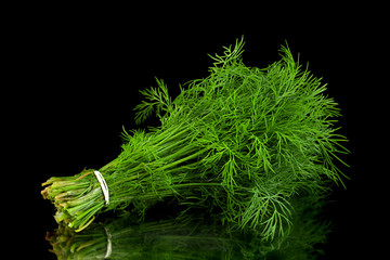Dill herb bunch on background