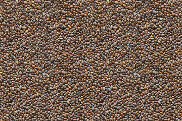 A scattering of pine nuts, top view.
