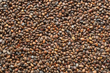 A scattering of pine nuts, top view.