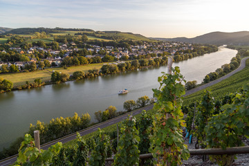 Panoramablick auf das Moseltal mit dem Weinort Brauneberg im Hintergrund an einem sonnigen Herbsttag