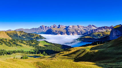 Naklejka premium Sellapass