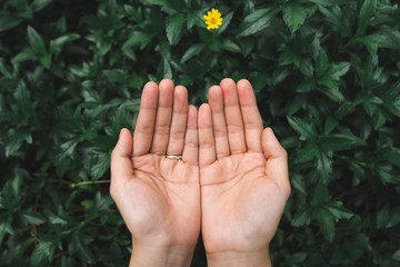 Female hands with green leafs background. Environmental conservation and save the world concept.