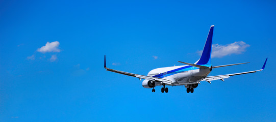 飛行機