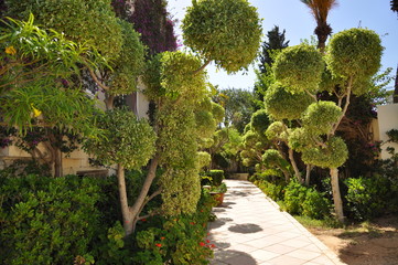 path in garden