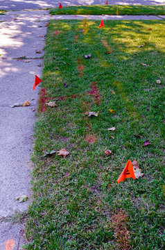 Phone and gas line markings and flags on a lawn