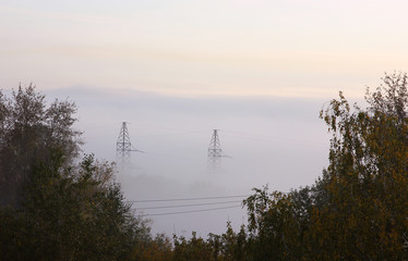 pre-dawn landscape with views of high-voltage towers and trees in dense fog