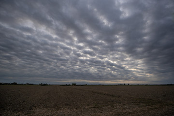 cielo a pecorelle