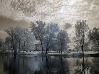 infrared photography overlooking the pond and white trees, beautiful clouds, beautiful reflections in the water, picture taken with a specially designed infrared camera