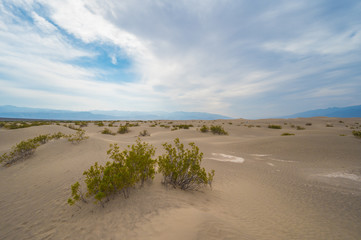 Death Valley