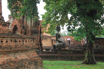 old house in the forest