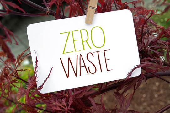 White card board with message zero waste with japanese maple