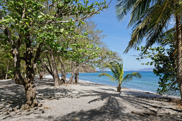 Fototapeta na wymiar Les Anses d'Arlet, Martinique, FWI - Anse Mathurin (near Anse à l'Ane in Les trois Ilets)