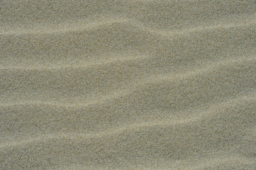Fototapeta na wymiar sable