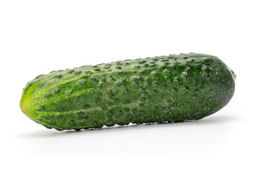 One whole ripe fresh pickling cucumber isolated on white background
