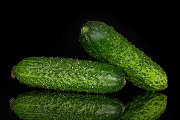 Group of two whole ripe fresh pickling cucumber isolated on black glass