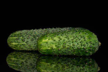 Group of two whole mature fresh pickling cucumber isolated on black glass