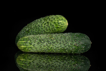 Group of two whole warty fresh pickling cucumber isolated on black glass