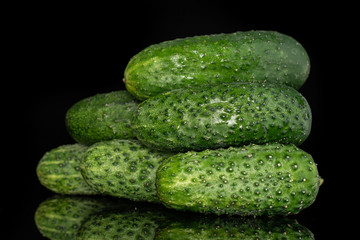 Group of six whole fresh pickling cucumber heap isolated on black glass