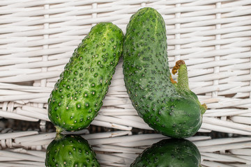 Group of two whole fresh pickling cucumber with braided rattan behind