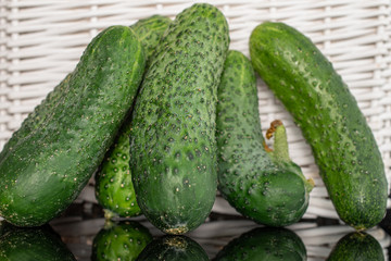 Lot of whole fresh pickling cucumber with braided rattan behind