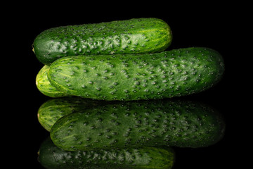 Group of three whole fresh green pickling cucumber isolated on black glass