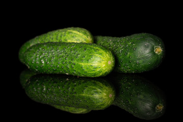 Group of three whole fresh green pickling cucumber isolated on black glass
