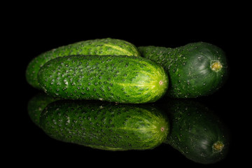 Group of three whole fresh green pickling cucumber isolated on black glass