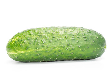 One whole fresh green pickling cucumber isolated on white background