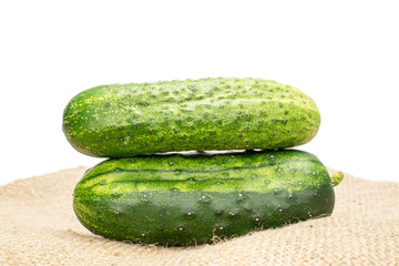 Group of two whole fresh green pickling cucumber on jute cloth isolated on white background